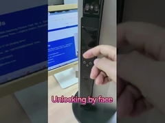 Rozpoznawanie twarzy wideo Cat Eye Smart lock Palm Vein Unlocking Chińska fabryka