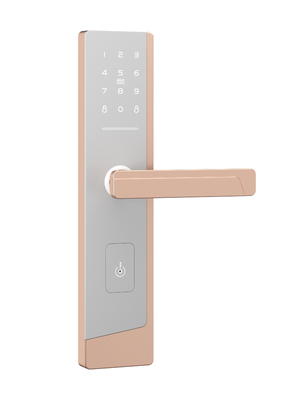 Smart Touchscreen Passcode Door Lock dla jednego administratora i do 100 użytkowników