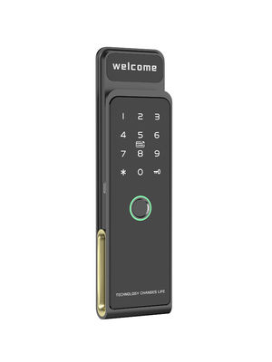 Smart Lock z odciskiem palca z zainstalowanymi śrubami i wieloma trybami odblokowania