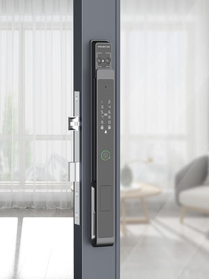 Video Cat Eye Palma Vein / Face Unlocking Wifi Smart Lock Aluminium IP65