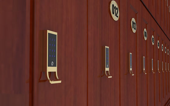 Hasło RFID Paszczyk na nadgarstku M1 Karta odblokowanie Aplikacja sterowana zamek szafki
