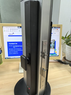 Video Cat Eye Palma Vein / Face Unlocking Wifi Smart Lock Aluminium IP65