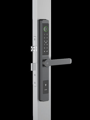 Rozpoznanie twarzy / Video oczu kota / Palm Vein Smart Door Lock IP65 Aluminium
