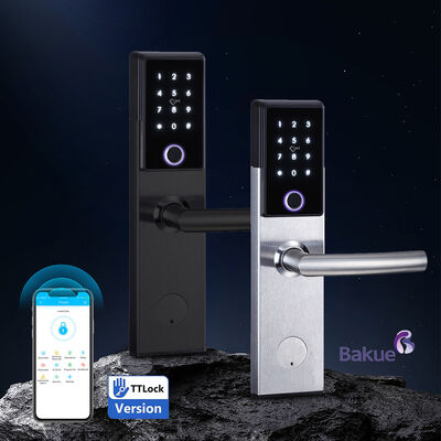 Ognioodporny zamek do drzwi 120min Smart Door Lock  Malowany  Bezpieczny dostęp Bluetooth WiFi Kod Karta Klucz mechaniczny Opcje