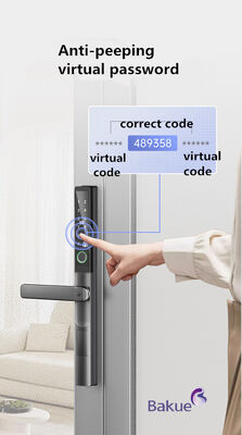 Aluminiowy zamek RFID do drzwi nadający się do szkoły System zarządzania bezpiecznym dostępem Urządzenie bezpieczeństwa elektroniczne