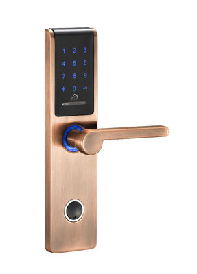 Starożytny miedziany szary 50 mm smart lock do drzwi mieszkalnych