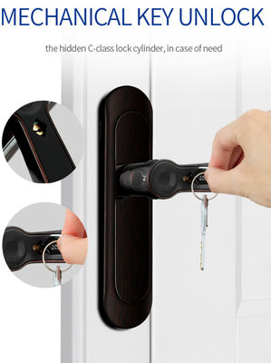 ROHS Smart Fingerprint Bluetooth Door Lock AI Voice Zink Alloy Handle