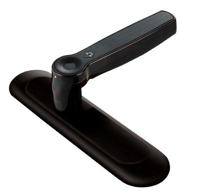 ROHS Smart Fingerprint Bluetooth Door Lock AI Voice Zink Alloy Handle