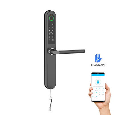 Wykończone malowane zamki drzwiowe RFID Komercyjna Bluetooth Wi-Fi Specjalna karta / kod / odcisk palca / APP