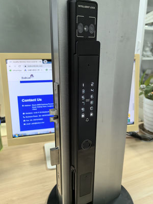 Rozpoznanie twarzy / Video oczu kota / Palm Vein Smart Door Lock IP65 Aluminium